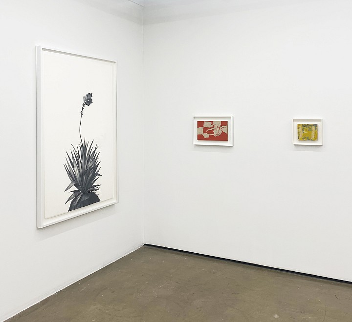 Fall Preview - Installation View