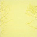 Isabel Bigelow, untitled (space between yellow trees)
2008, oil on panel