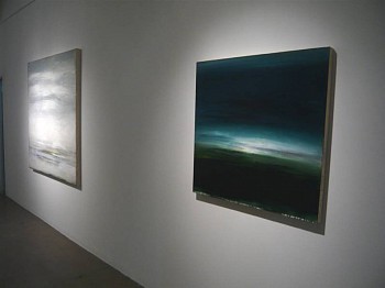 Work: Installation, 2012 DULAN791