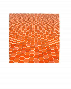 Sara Eichner -&nbsp;red hexagon floor, 2006 goauche on watercolor paper 14 x 14  inch image / 30 x 22  inch paper EICH087