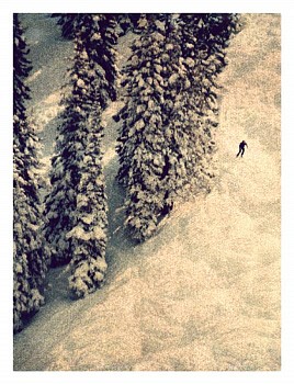 Work: Aspen #8, ed. of 17, 2014 K-3 pigment print 44 x 35 inch paper / 40 x 31 inch image, ed. of 17 | 71 x 54 inch paper 67 x 50 inch image, ed. of 7 HUGG207