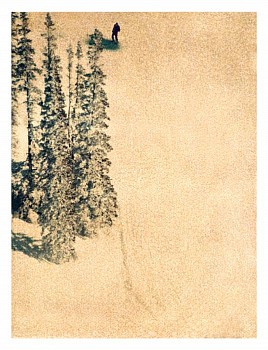 John Huggins -&nbsp;Aspen #7, ed. of 17, 2014 K-3 pigment print 44 x 35 inch paper / 40 x 31 inch image, ed. of 17 | 71 x 54 inch paper 67 x 50 inch image, ed. of 7 HUGG208