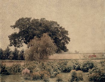 Work: John Huggins Amagansett, New York, ed.of 17, 2014 K-3 pigment print 35 x 44 inch paper / 31 x 40 inch image, ed. of 17 | 54 x 71 inch paper / 50 x 67 inch image, ed. of 7 HUGG197