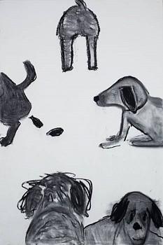 Work:&nbsp;The Poop, 2010 charcoal on paper 60 x 48 inches lyn431