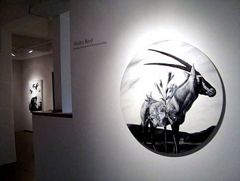 Work:&nbsp;Something is amiss amidst all this beauty and delight exhibition, 2010 REE098