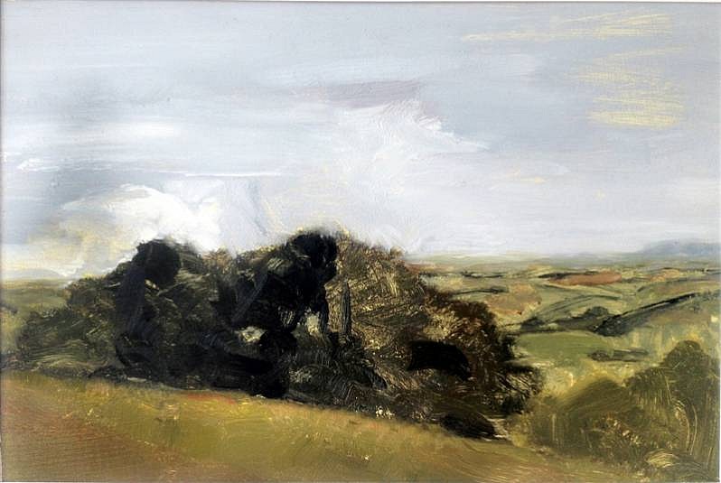 Peter Schroth (LA)
Farm Overlook  2, 2000
SCHR327
oil on paper, 6 x 9 1/2  inch image