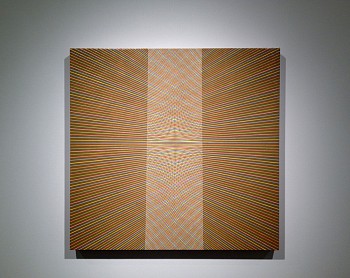 Work:&nbsp;Geometry Interrupted Installation, 2013