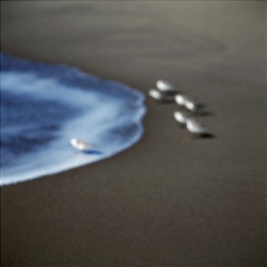 John Huggins (LA)
Plovers, Malibu, California, ed. of 23, 2003
HUGG289
pigment print, 36 x 36 inch paper / 32 x 32 inch image, ed. of 23 | 53 x 53 inch paper, ed. of 7