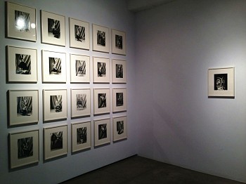 Work:&nbsp;Roz Leibowitz Doll Portraits Installation, 2014 LEIB131