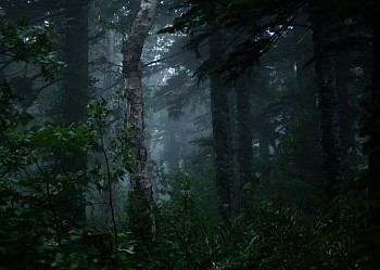 Jason Frank Rothenberg - Rishiri (Interior #1), Edition of 8, 2014 c-print 42 x 60 inches JFR005