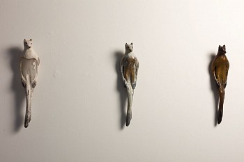 Work: Buddhi Installation, 2015 ROSEN271