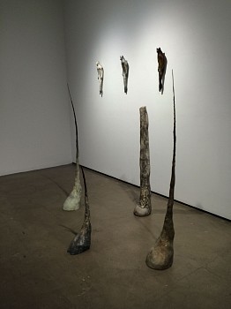 Work: Cash-Morandi Installation, 2015 Bronze Hoof, Bronze Cloven Hoof, White Hoof, Bronze Cash Hoof, Red Fox Buddhi, Bronze Buddhi (White), Mei Mei Buddhi ROSEN277