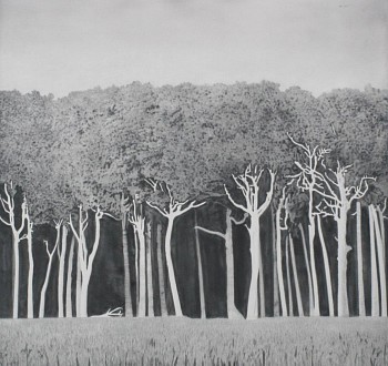 Clay Wagstaff (LA) -&nbsp;White Trunks no. 2, 2016 graphite on arches cover paper 42 x 42 inches WAG347
