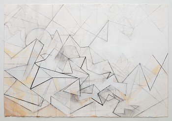 Work:&nbsp;Celia Gerard Hiding in plain sight, 2017 mixed media on paper 42 x 60 inches GER082