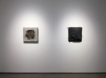 Celia Gerard, ASCENT/DESCENT&nbsp;