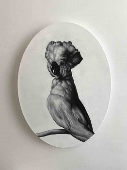 Shelley Reed (LA) -&nbsp;Cockatoo (after Weenix), 2017 oil on canvas 24 x 18 inch oval REE155