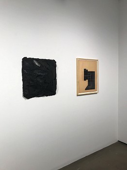 Light in the Dark&nbsp;