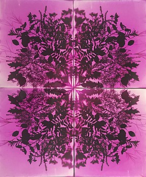 Artist: Wendy Small