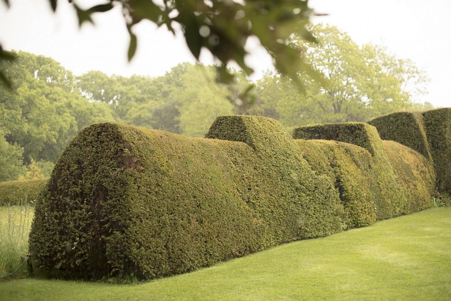 Susanna Howe
Lie Down at Dixter, edition of 9, 2017
HOWE002
c-print, 30 1/4 x 45 1/2 inch paper / 31 1/2 x 46 3/4 inch frame