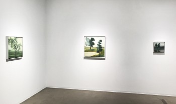 Poogy Bjerklie, The In Between&nbsp;