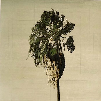 Clay Wagstaff (LA) -&nbsp;Palms no. 19, 2016 oil on paper 26 x 26 inches WAG365