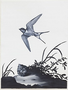 Work: Shelley Reed Swallow and Shell (after Beert), 2018-2020 oil on Arches oil paper 30 x 22 1/2 inch paper / 33 1/2 x 26 inch frame REE170