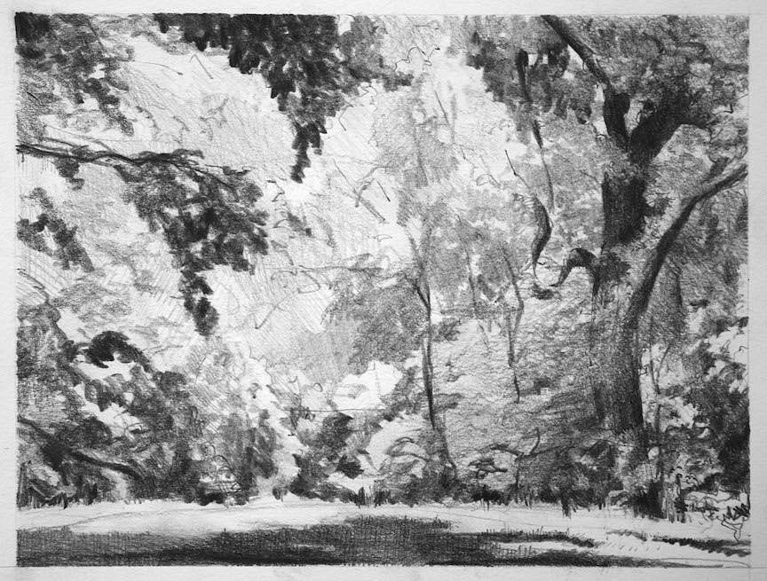 Peter Schroth (LA)
Prospect Park 1
SCHR758
graphite on paper, 5 x 7 inches