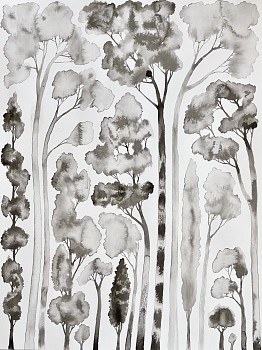 Los Angeles: Bryan Rogers (LA)