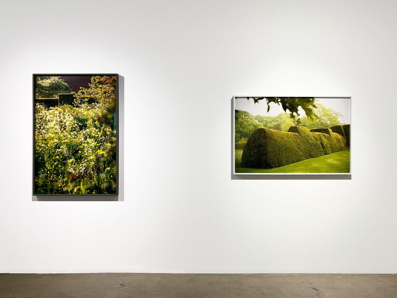 Susanna Howe
Susanna Howe Installation Shot, 2021
Ordering the Mind, ed. of 9, 2017
Lie Down at Dixter, ed, of 9, 2017