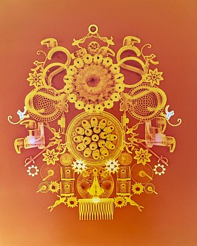 Wendy Small (LA) - Micro Managed, 2005 color photogram 20 x 16 inches SMA318