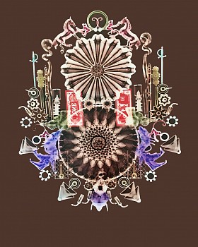 Wendy Small (LA) - Micro Managed, 2014 color photogram 20 x 16 inches SMA313