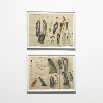 PROJECT ROOM: Jane Rosen&nbsp;