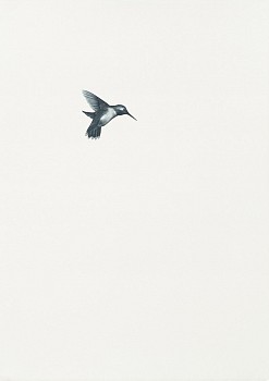 Work: Shelley Reed Hummingbird 6, 2022 oil on paper 41 x 29 1/2 inches REE216