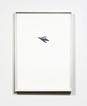 Work: Shelley Reed Hummingbird 5, 2021 oil on paper 41 x 29 1/2 inches REE206