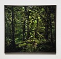Jason Frank Rothenberg, Quinault (Interior #1), Edition of 8
2017, c-print