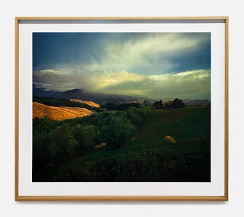 Jason Frank Rothenberg - Farm #1, ed. of 8, 2020 archival pigment print 42 x 50 inches / 51 x 59 inches framed JFR023
