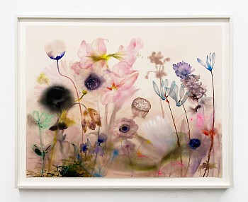 Work: Lourdes Sanchez Touch down; lift off (with amarylis, water lilies, Jack in the Pulpit, and other relations), 2023 ink, watercolor and pencil on paper 43 x 55 inches / 49 x 60 1/2 inches framed SANCH987