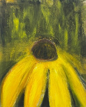 Kathryn Lynch (LA) -&nbsp;Black eye'd susan, 2023 oil on linen 14 x 11 inches LYN950