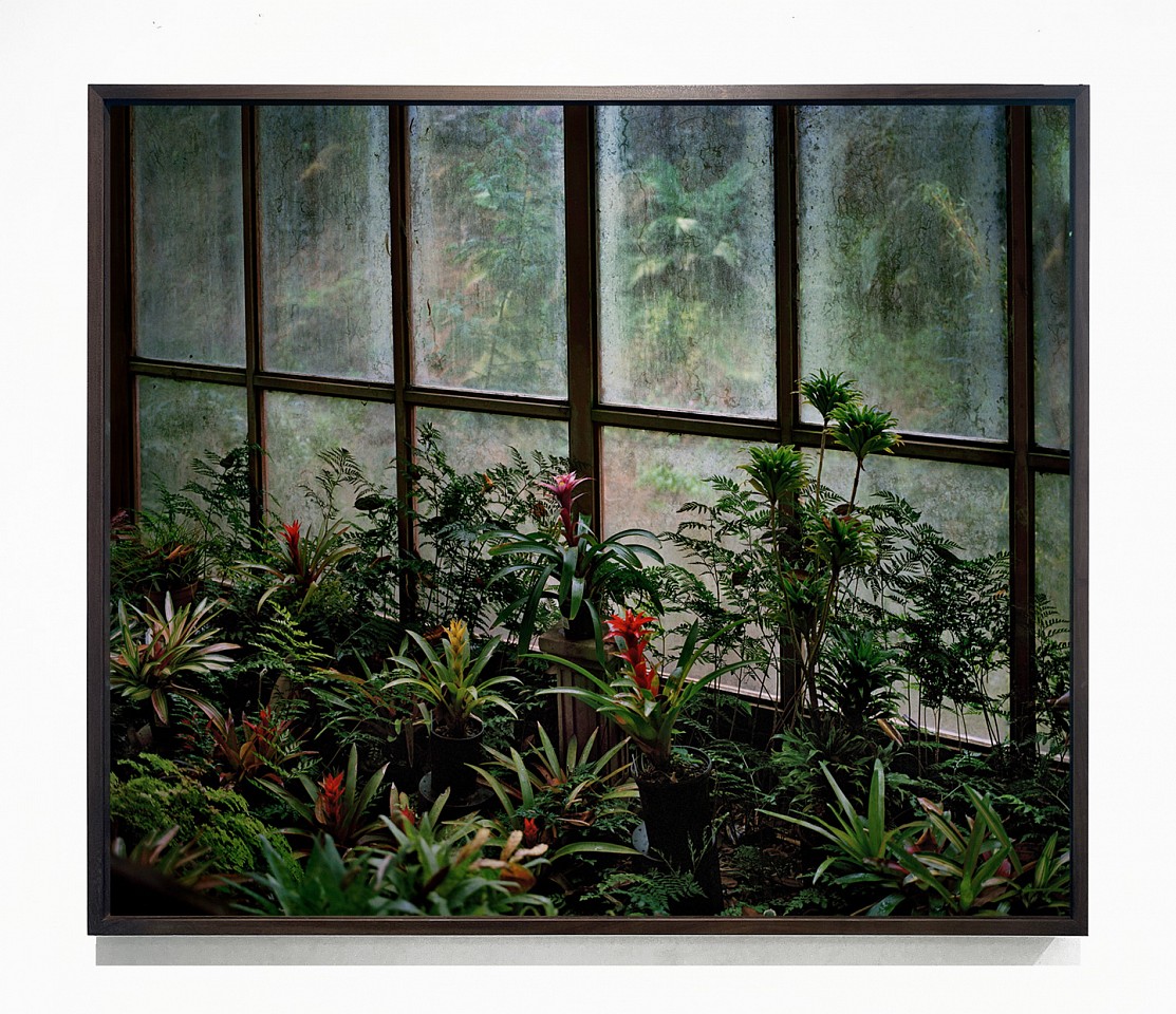 Jason Frank Rothenberg
Hawaii II, 2024
JFR027
archival pigment print, 42 x 50 inches / 43 x 51 inches framed