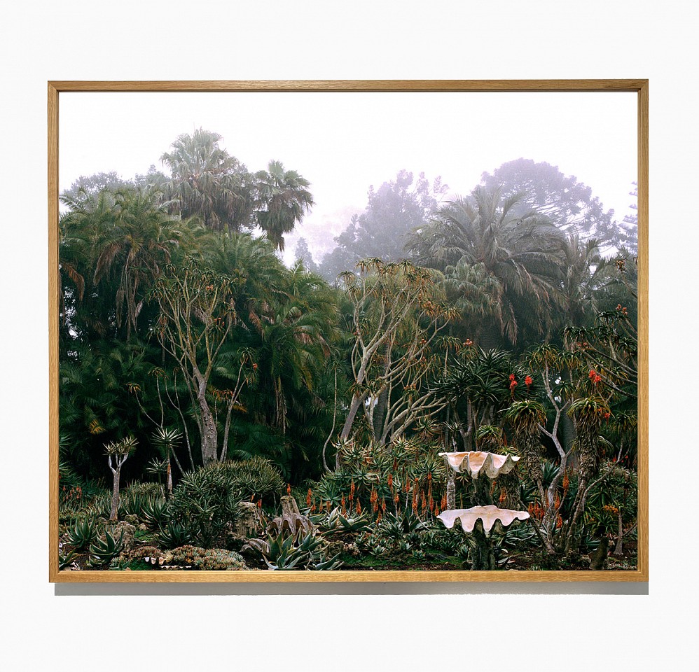 Jason Frank Rothenberg (LA)
Lotus Land, 2023
JFR025(A)
archival pigment print, 42 x 50 inches