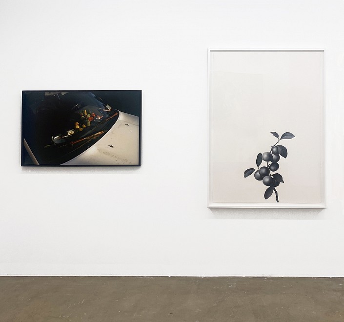 Rigorous Fun - Installation View