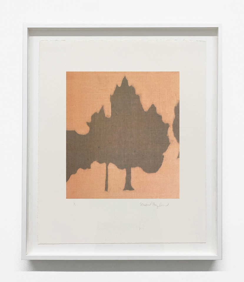 Isabel Bigelow
forest, 2012
BIG1911
monoprint, 18 x 15 inch paper / 11 x 10 inch image