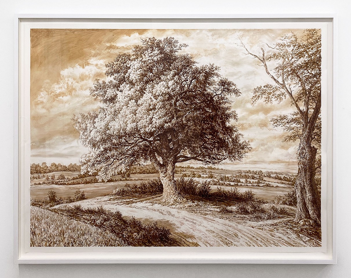 Rick Shaefer
Lone Oak on a Knoll, 2024
shaef118
sepia chalk, pencil and ink on Yupo, 55 x 74 inches / 59 1/2 x 79 inches framed