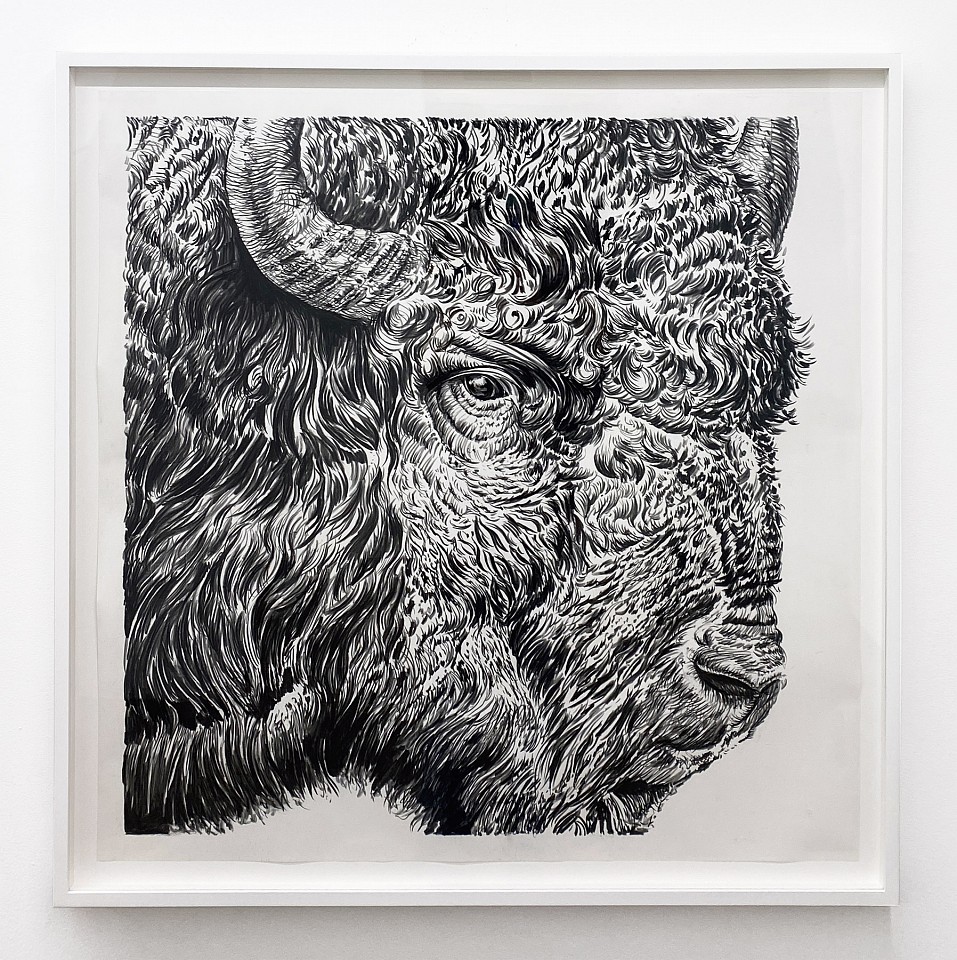 Rick Shaefer
Bison Head, 2024
shaef121
charcoal on gessoed vellum, 42 x 42 inches / 46 x 46 inches framed