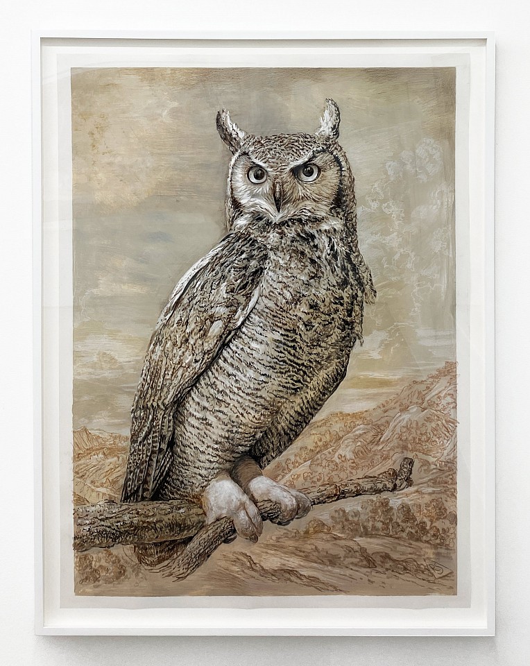 Rick Shaefer
Great Horned Owl III, 2024
shaef122
chalk, pencil, and acrylic on gessoed vellum, 44 x 32 inches / 47 3/4 x 36 inches framed