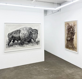 Rick Shaefer, All the Mornings&nbsp;