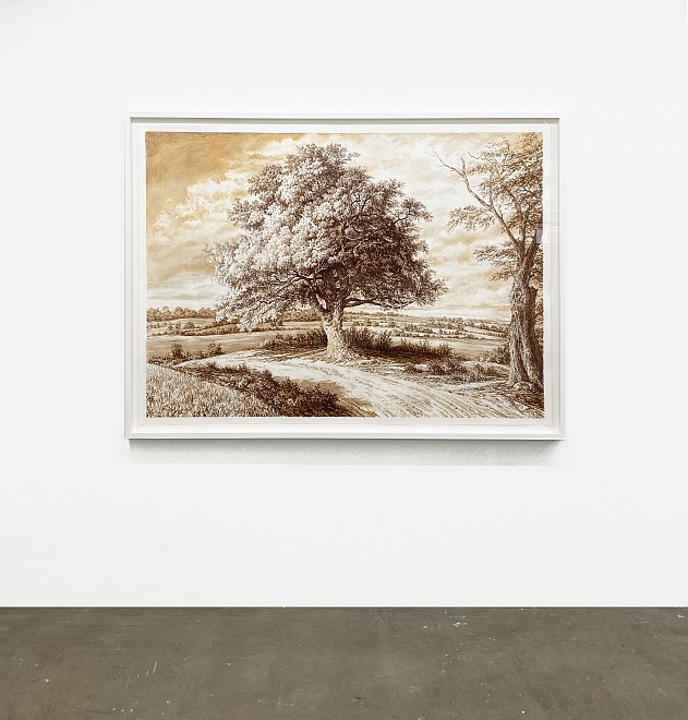 Rick Shaefer, All the Mornings  - Installation View