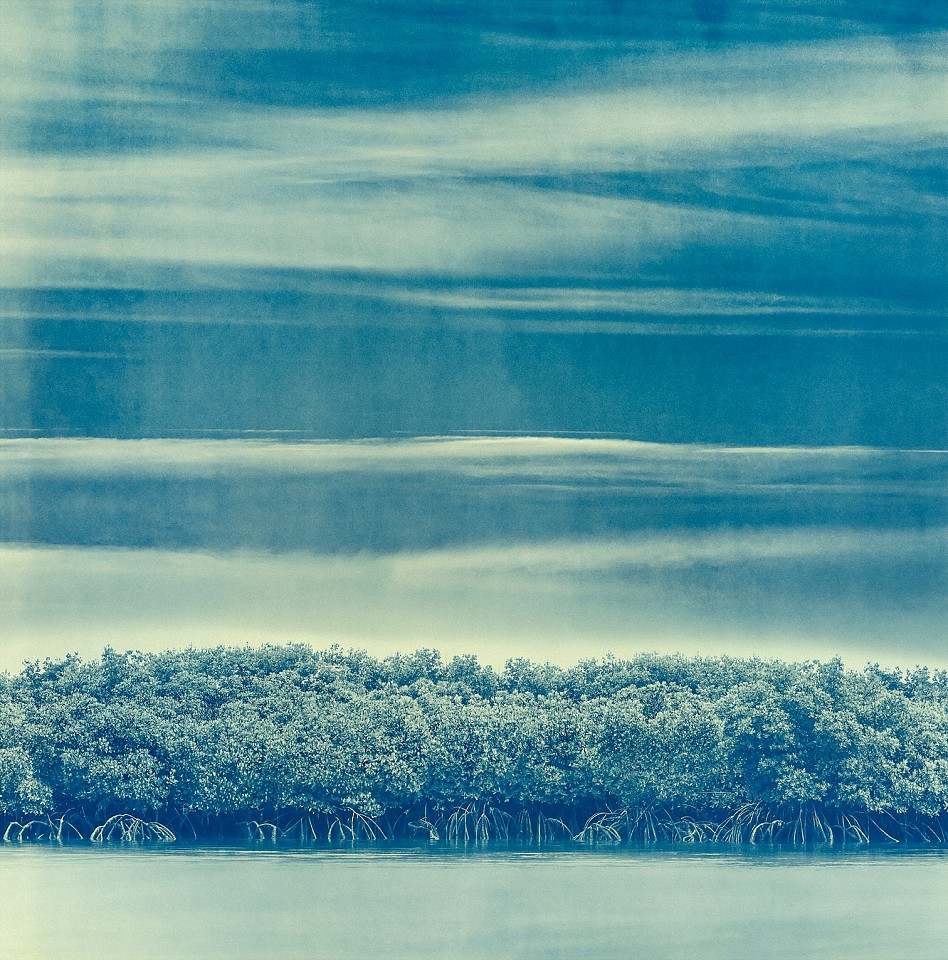 Thomas Hager
Blue Sky Mangroves, 2024
HAG692
archival pigment print, 42 1/2 x 42 inches