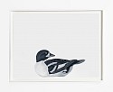 Shelley Reed, Barrow's Goldeneye (after Audubon)
2024, oil on paper