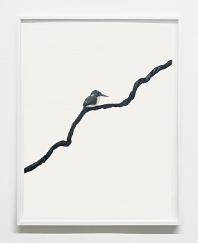 Shelley Reed -&nbsp;On a Vine, 2024 oil on paper 30 x 22 inches REE295